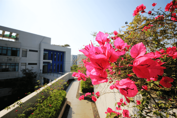 金年会|jinnianhui金年会·(金字招牌)诚信至上官网